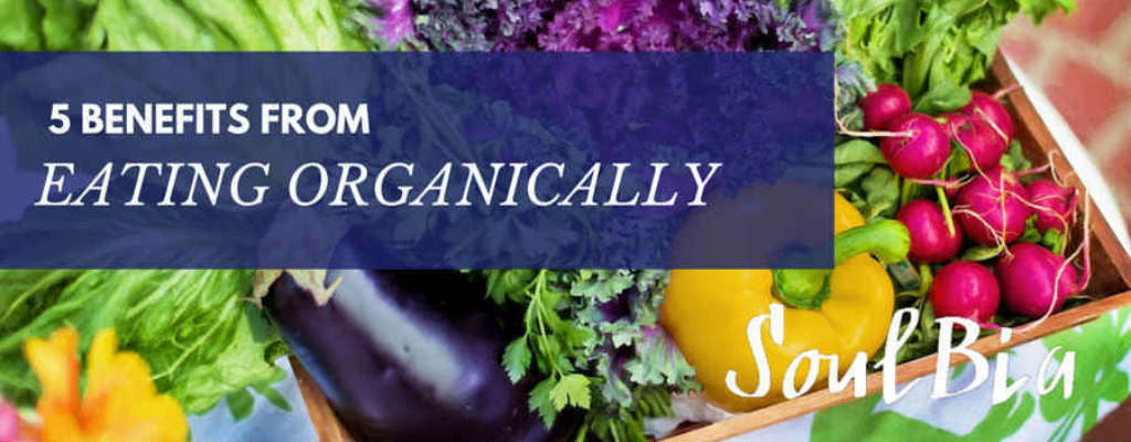 5 Benefits From Eating Organically