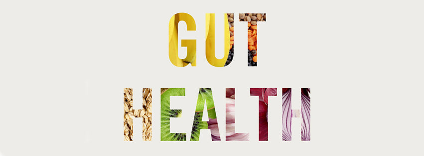 Curious about Foods Good for Gut Health?